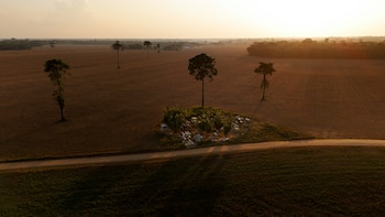 Вид беспилотника показывает
