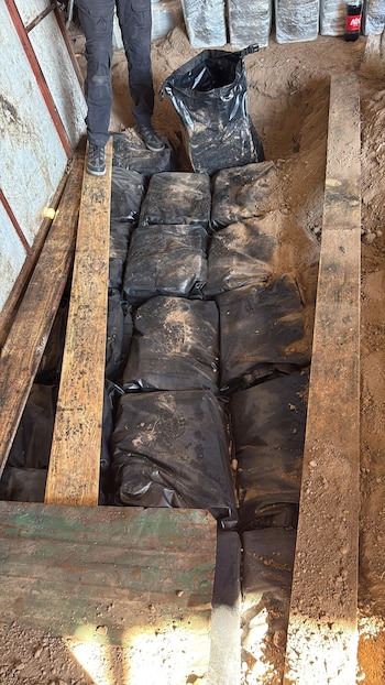 Кокаин был похоронен в