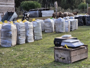 Уругвайская полиция захватила две тонны