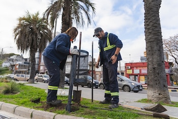 Мусорные баки возвращаются в