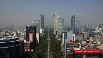 Фотография. Вид