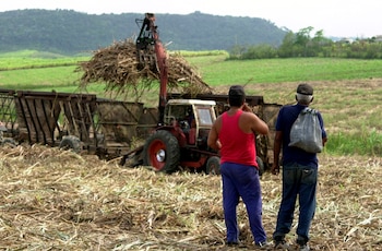 Согласно различным историческим источникам, Куба