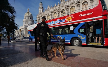 Файл изображение: полиция