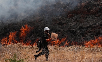Агро -экологический суд ратифицировал