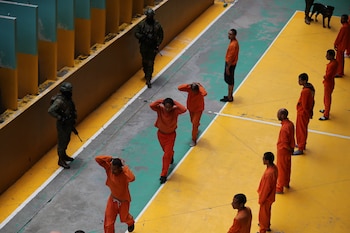 Файловая фотография где