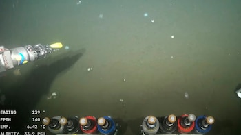 Инициатива, обрамленная в