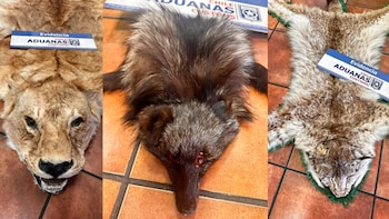 Десять дней назад, бывший посол