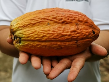 Эквадор - один из