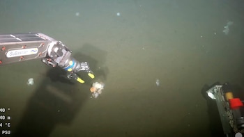 Уругвай начал эту субботу