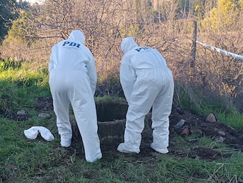 Тело Линко появилось