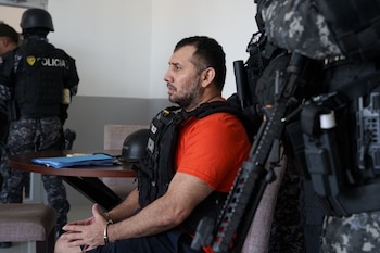 Фито -экстрадиция есть