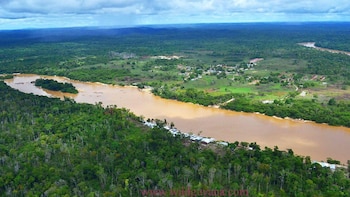 Атака осудила Гайана