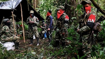 Элн, возможно, сегодня