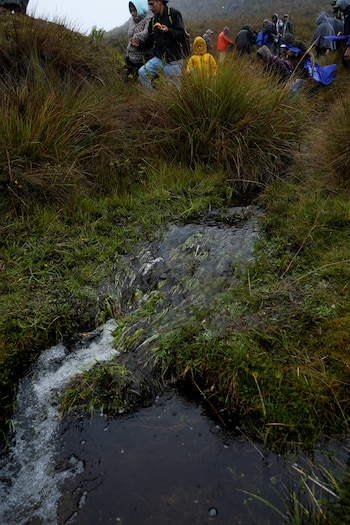 Забота жителей