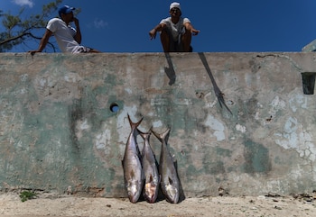 Люди рядом с рыбалкой