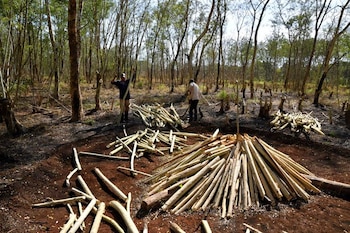 Люди готовятся гореть