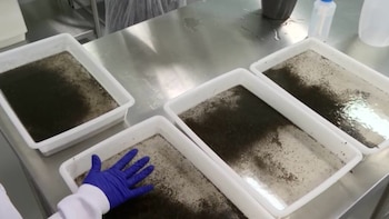 Совместная инициатива между