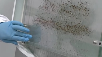 Метод уже защищен