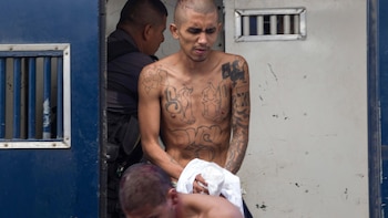 Архив изображение