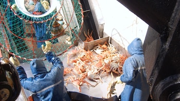 Три руководителя одного из