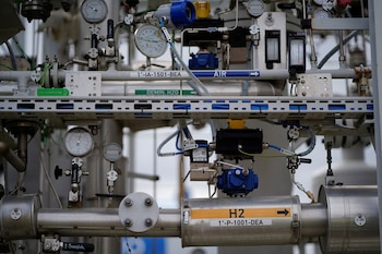 Вид на растение