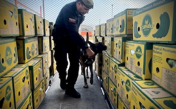 Полиция включает в их