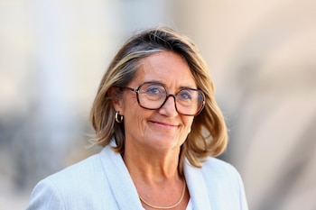 Пресс -секретарь правительства Франции,