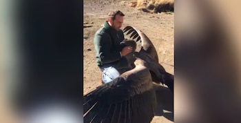 Делла Гаспера стала известна