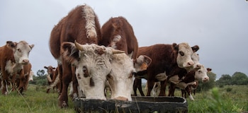 Увеличение задачи