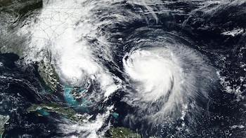 Это изображение понедельника 29