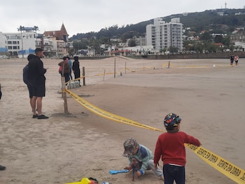 Мать и ее теленок