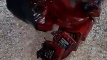 Доминиканское агентство по борьбе с наркотиками опубликовало