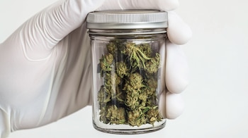 Мелисса Саид, имеющая более чем