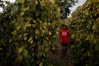 Китай увеличивает закупки