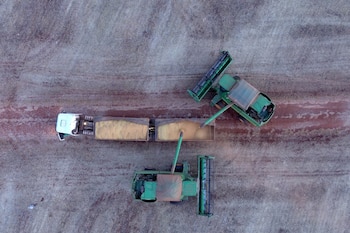 Планы правительства Бразилии