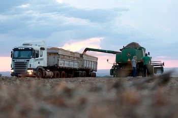 Экспорт сои