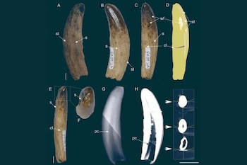 Открытие расширяет знания