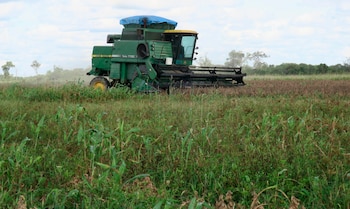 Сельскохозяйственное производство имеет