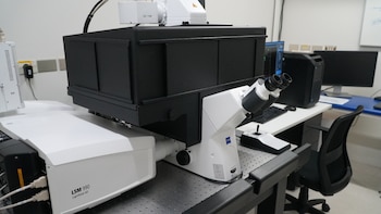 Команда ставит Чили