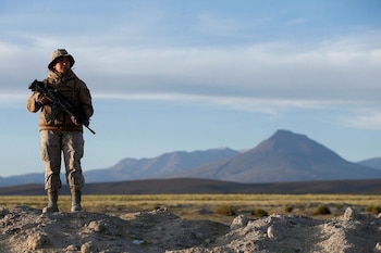 Правительство указало, что