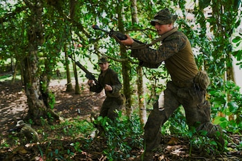 Деятельность сил