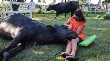 Жители и туристы отмечают