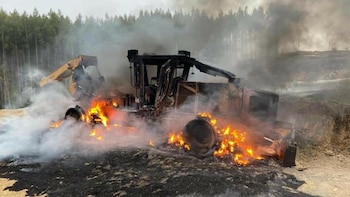 Двое задержанных будут официально оформлены