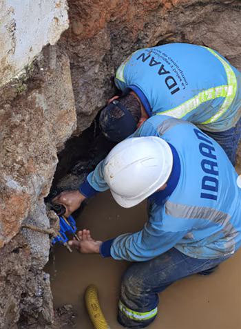 Подсчитано, что около