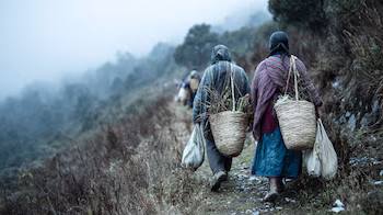 Панель выделена