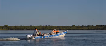 Проект консервации на