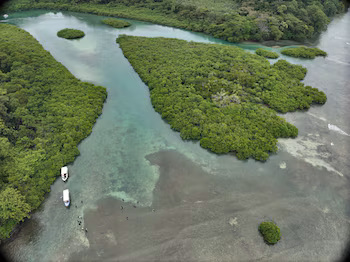 Панама отмечает каждые 2 года