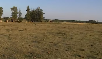 Производители предупреждают о дефиците воды