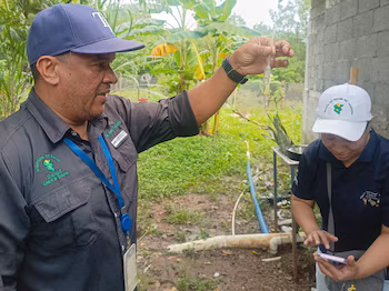 Столичный регион лидирует