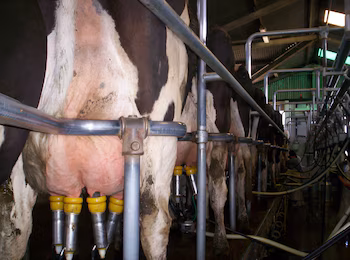 Двусторонние торговые отношения продолжаются